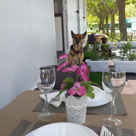 Catalinas Kamp alanı