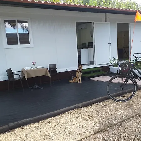 Catalinas Kemp Ríolobos