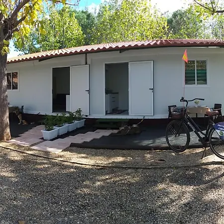 Catalinas Campsite