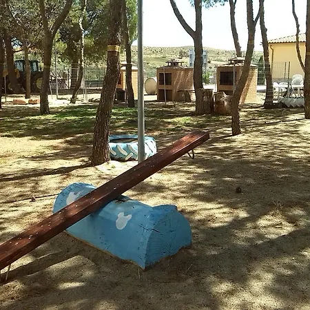 Catalinas 2*